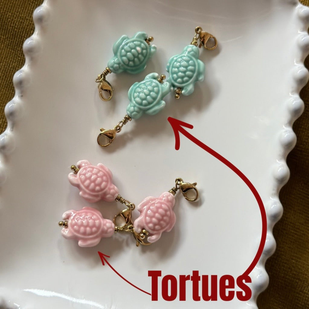Tortues colorées